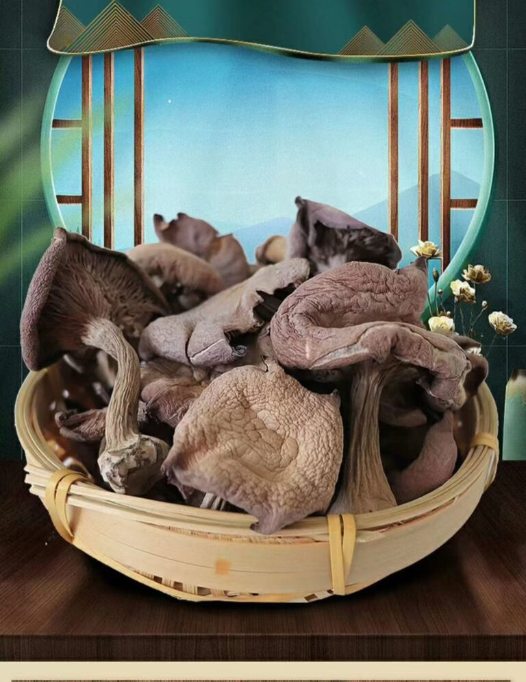 purple-faced mushroom